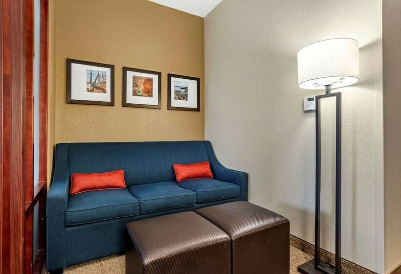 Люкс Адаптированный для Инвалидов, Comfort Suites Airport