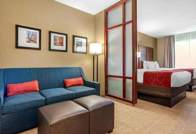 Люкс Адаптированный для Инвалидов, Comfort Suites Airport
