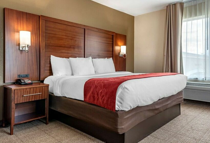 Люкс, Comfort Suites Airport