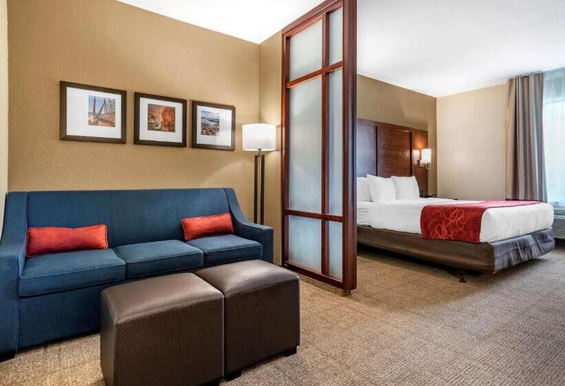 Номер Стандарт Кровать Кинг Адаптированный для Инвалидов, Comfort Suites Airport