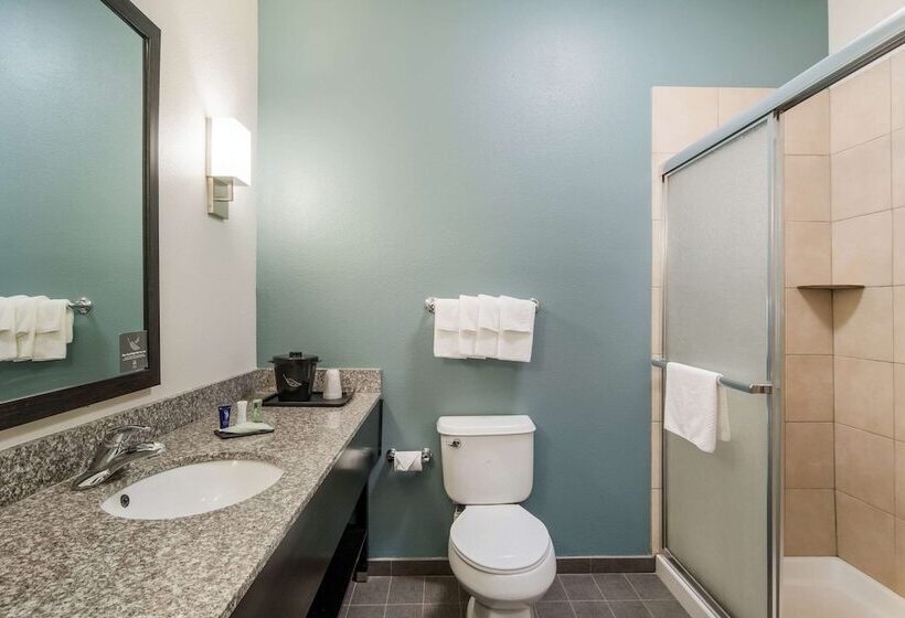 스위트, Sleep Inn & Suites At Kennesaw State University