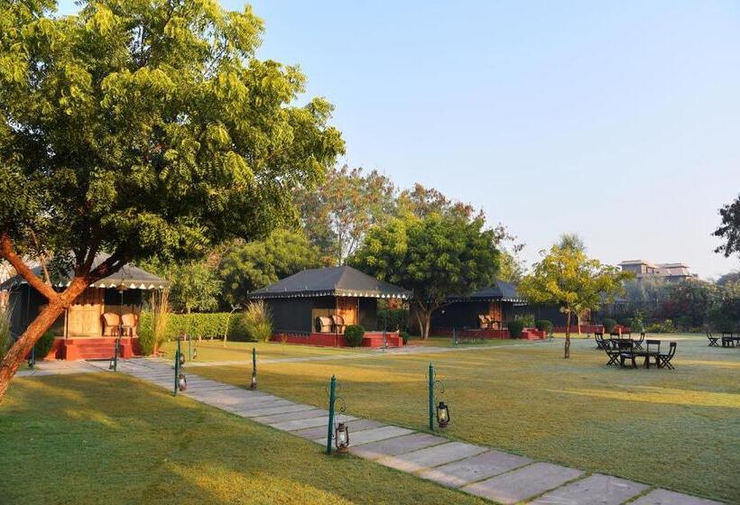 Standard Tent, The Shergarh