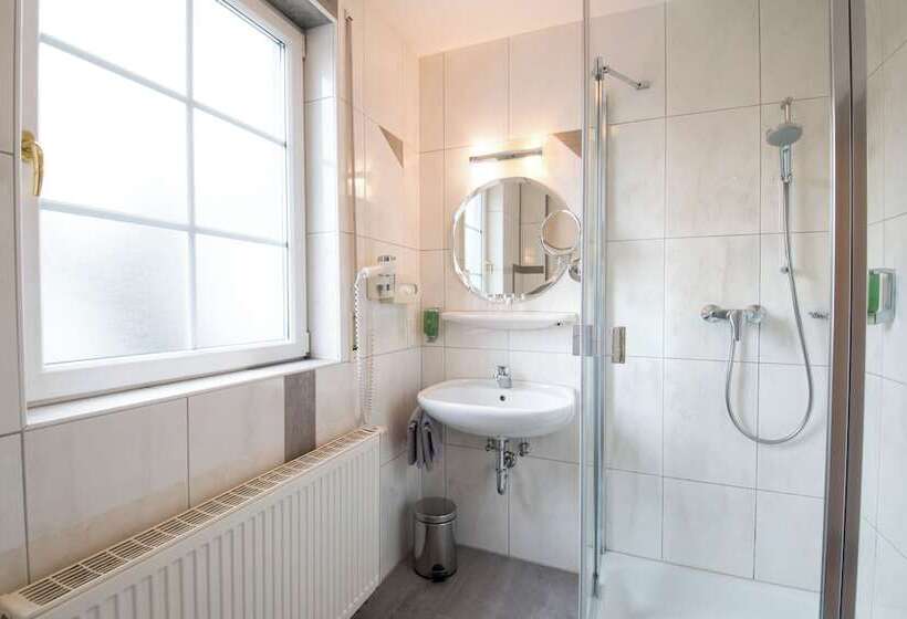 اتاق استاندارد, Das Grüne Hotel Zur Post   100 % Bio