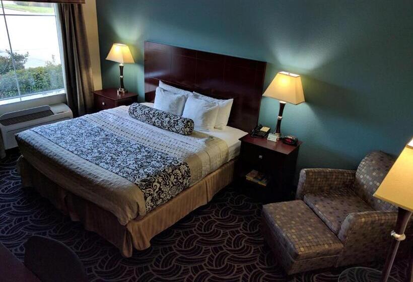 Стандартный Номер Кровать Кинг, Best Western Plus Katy Inn And Suites