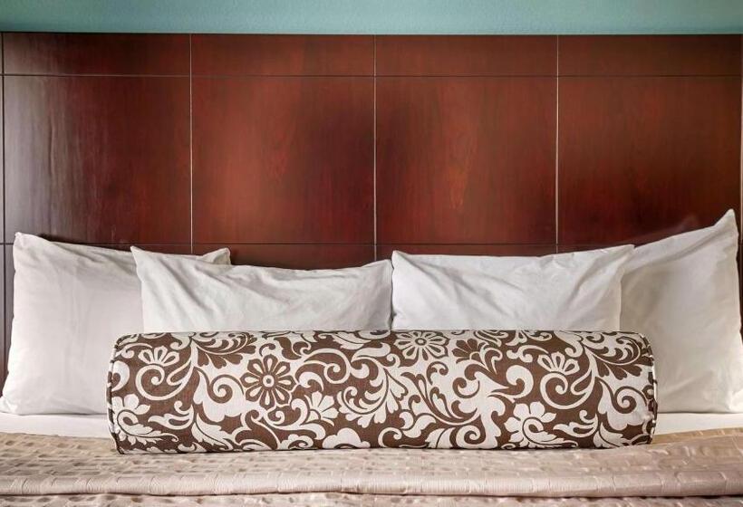 Номер Стандарт, Best Western Plus Katy Inn And Suites