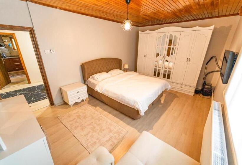 带2个卧室的别墅, Sapancaminihouse