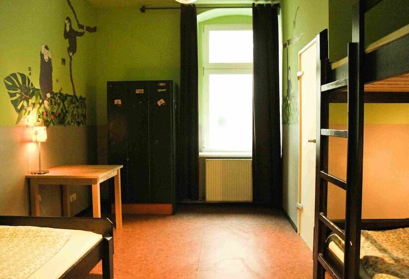 سرير فى غرفة مشتركه, Sunflower Hostel Berlin