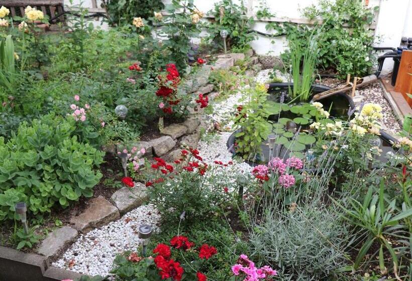 اتاق استاندارد, Gästezimmer Zum Rotem Karpfen