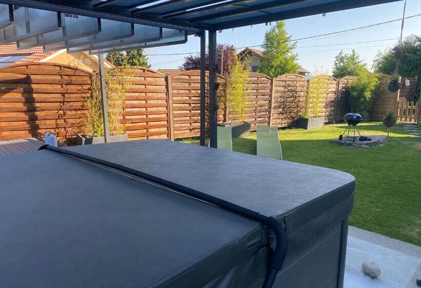 Апартаменты 1 Спальня Нижний Этаж, L Entre 2 Lyon Grenoble   Villa Avec Jacuzzi