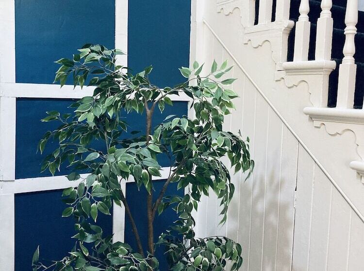 스탠다드 룸, Abbeyfield Guesthouse