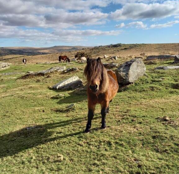 Номер Basic, Dartmoor Inn