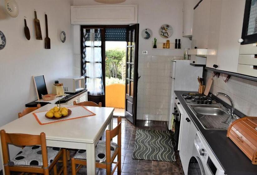 １ベッドルームアパートメント, Camere O Appartamento Intero In Locazione In Pittinuri