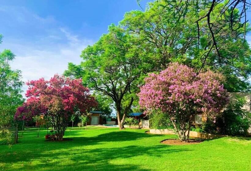 스탠다드 룸 킹사이즈 침대, Kameeldoring Guest House