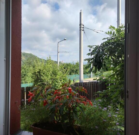 Номер Стандарт, B&b Royal Liberty