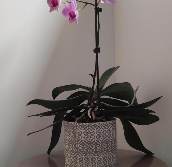 חדר סטנדרט, Chambre D Hôtes Du Muguet Avec Sdb Privative