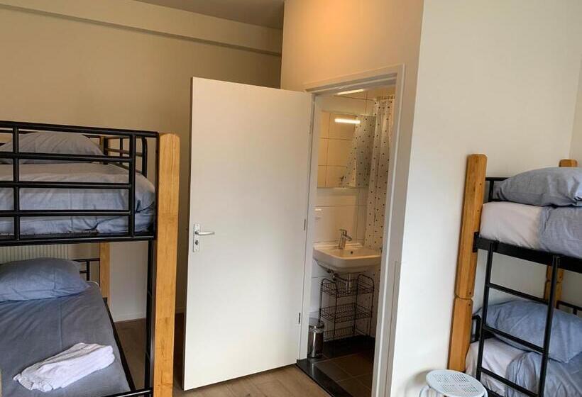 تختخواب در اتاق مشترک, Kleinschalig Hostel In Deventer, Hartje Stad, Aan De Ijssel