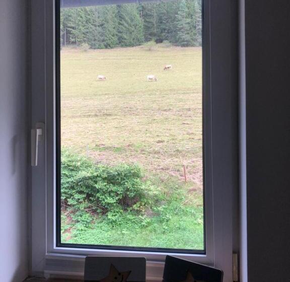 Номер Deluxe, Familienpension Obere Juchhe, Ferienwohnung Und Zimmer