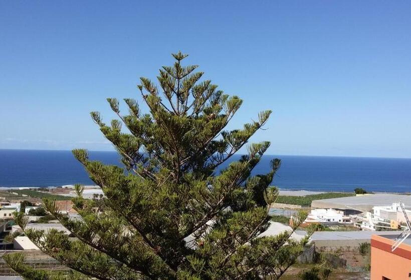 اتاق استاندارد, Las Gaviotas