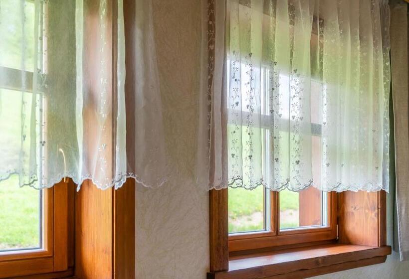 Номер Стандарт, Salaš Syrex