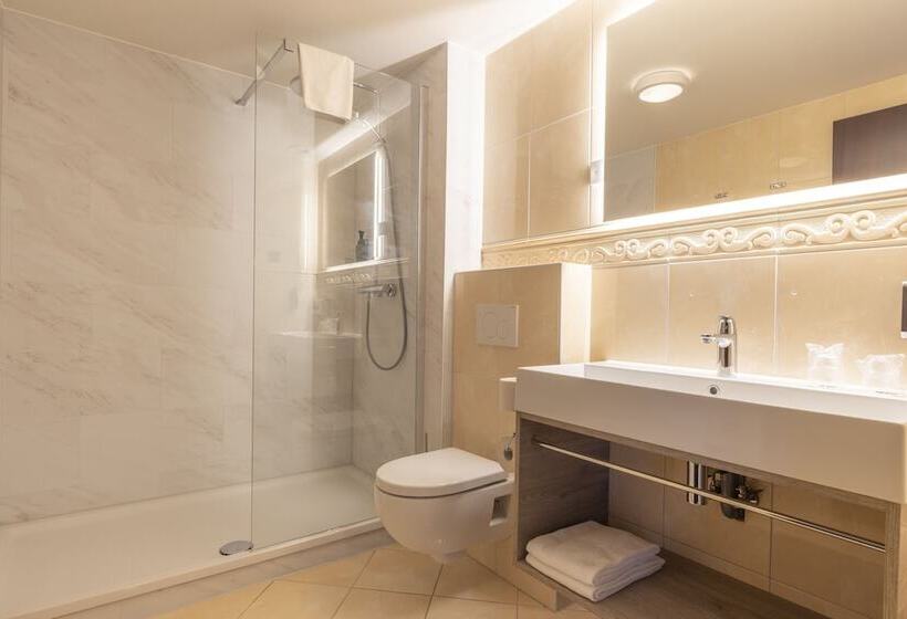 Номер Комфорт, Fletcher Familiehotel De Hunzebergen