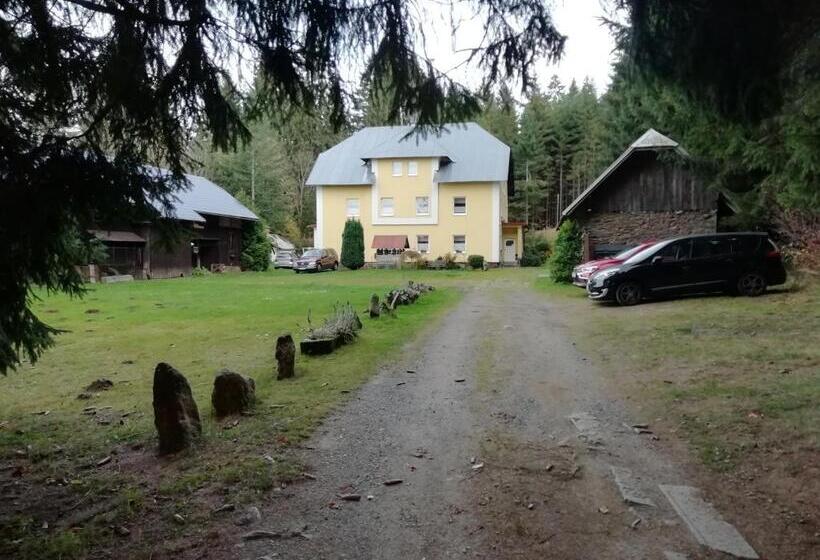 Четырехместный Номер Стандарт, Penzion Rudolfovna