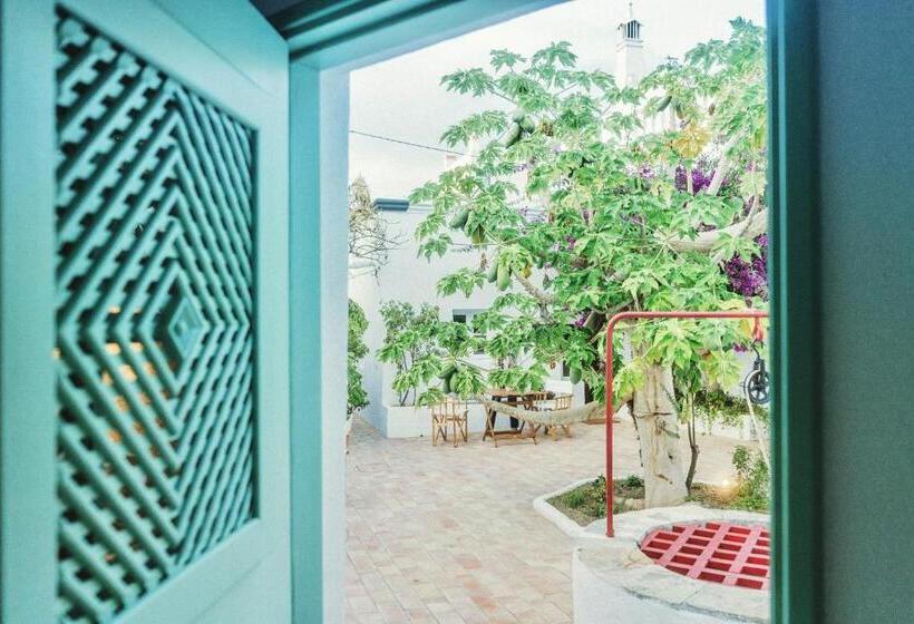 استودیو استاندارد با چشم‌انداز باغ, Azul Sul
