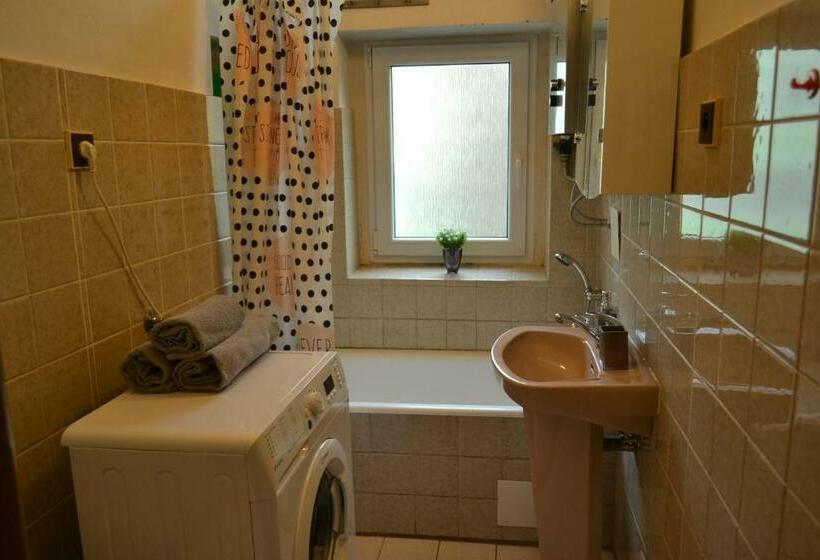Апартаменты 2 Спальни, Apartments  Vintag  Teplice