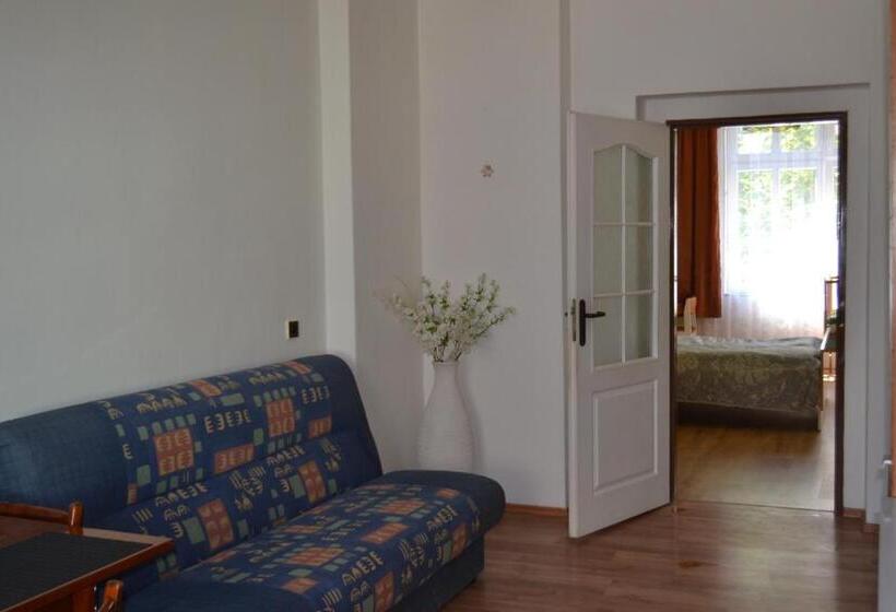 Апартаменты 2 Спальни, Apartments  Vintag  Teplice