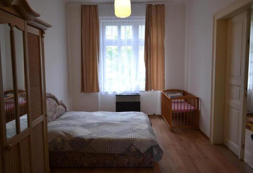 Апартаменты 1 Спальня, Apartments  Vintag  Teplice