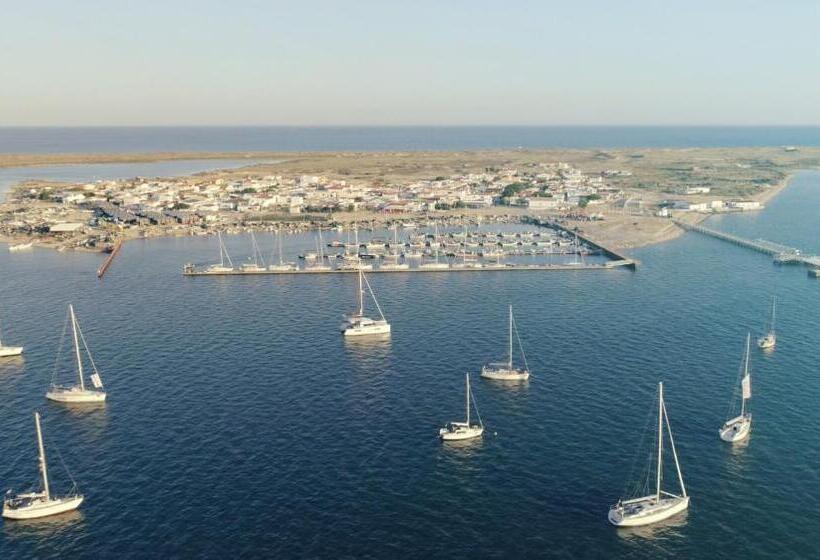 اتاق سوپریور, Pine House   Faro Airport, Beach And City Center