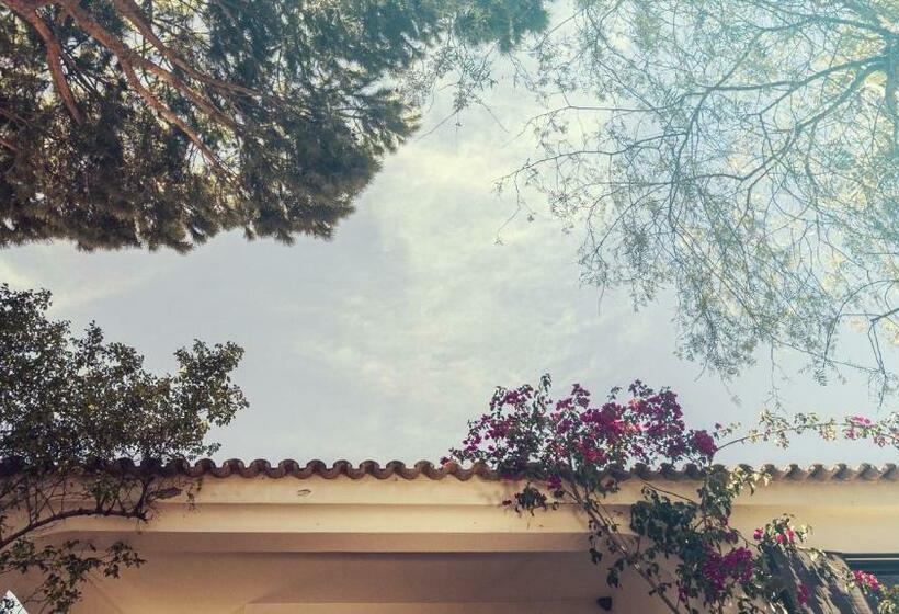 اتاق استاندارد, Pine House   Faro Airport, Beach And City Center