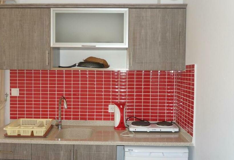 Апартаменты 1 Спальня, Ozukara Apart 1