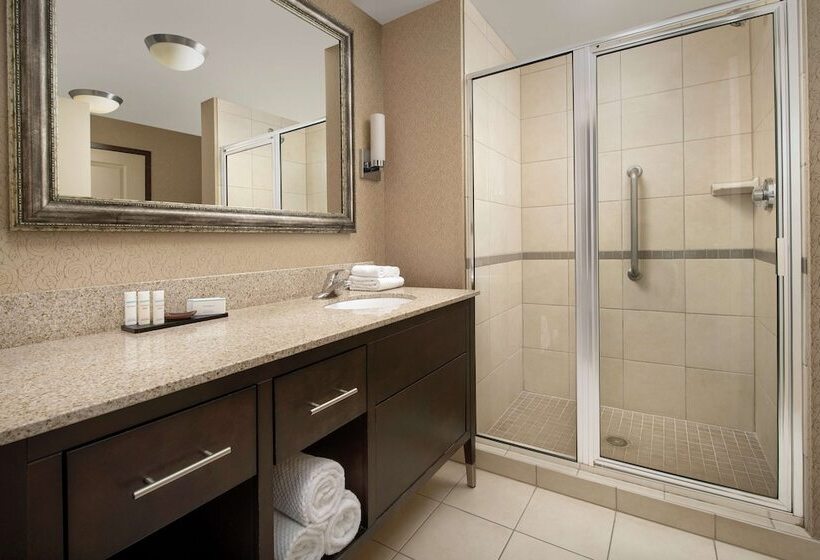 Номер Executive, Embassy Suites By Hilton Birmingham Hoover