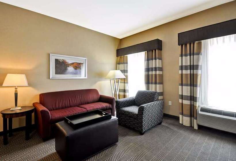 Номер Стандарт, Embassy Suites By Hilton Birmingham Hoover