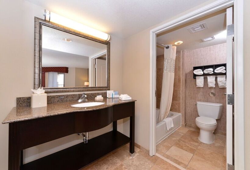 Люкс, Hampton Inn & Suites Phoenix/gilbert
