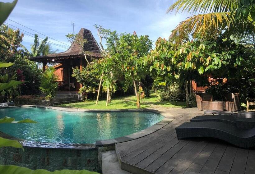 带泳池观景的豪华房, Mirah Guest House