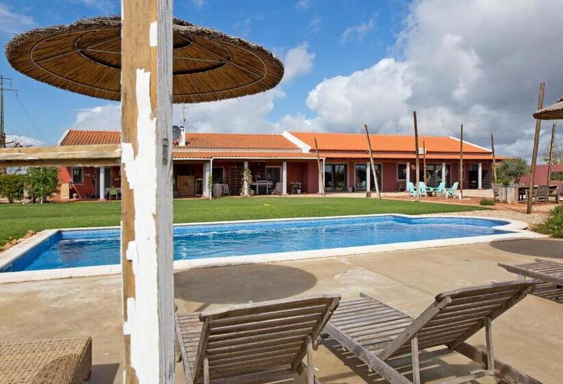 Номер Стандарт, Quinta Dos Doze Sobreiros   Quarto Sol
