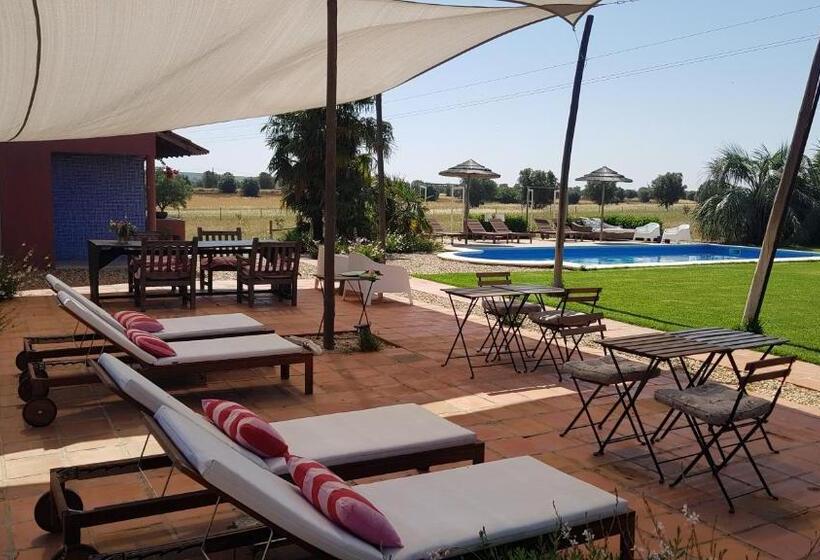 Номер Стандарт, Quinta Dos Doze Sobreiros   Quarto Sol