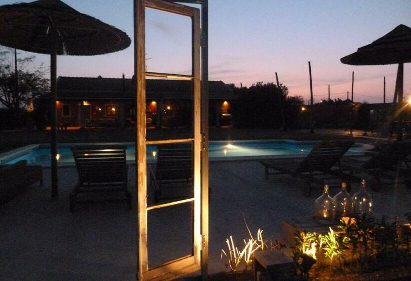 Номер Стандарт, Quinta Dos Doze Sobreiros   Quarto Sol