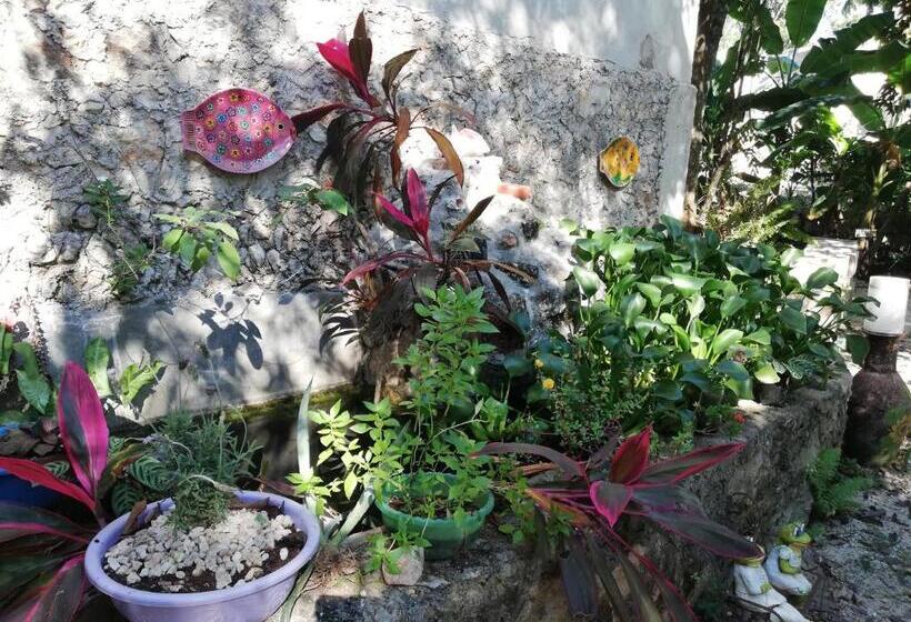 标准间, Mayan Bungalow Near Chichén