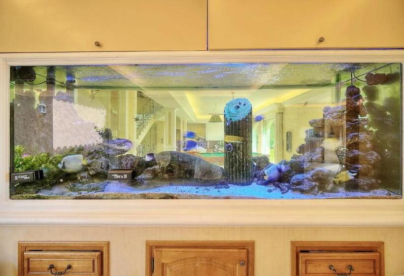 Номер Стандарт Вид на Море, Havre De Paix 5 étoiles Prestige Jacuzzi, Hammam, Sauna, Piscine Chauffée Mougins Cannes Grasse