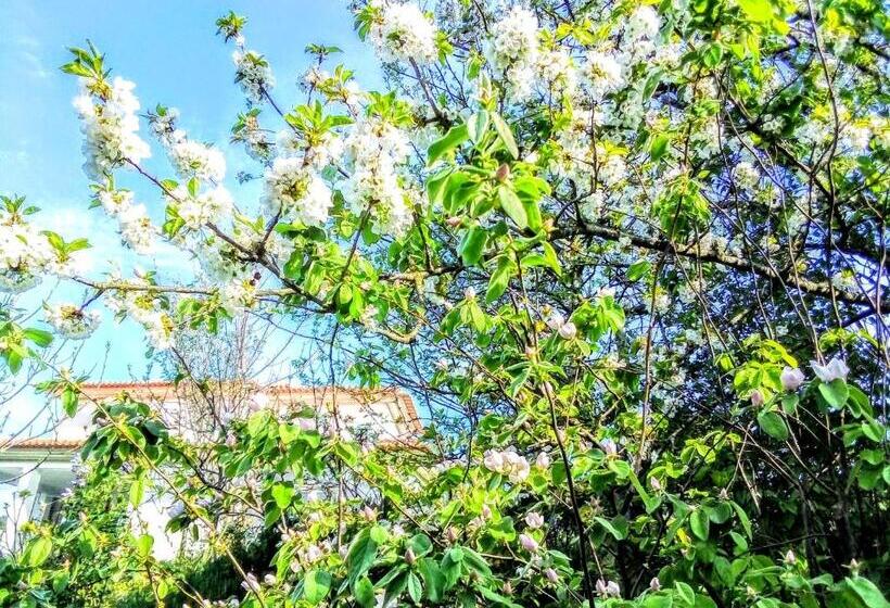 스탠다드 룸, Casa Vale Do Rio Ovil