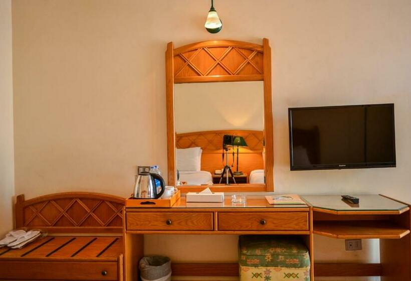 Chambre Standard, Dive Inn Resort