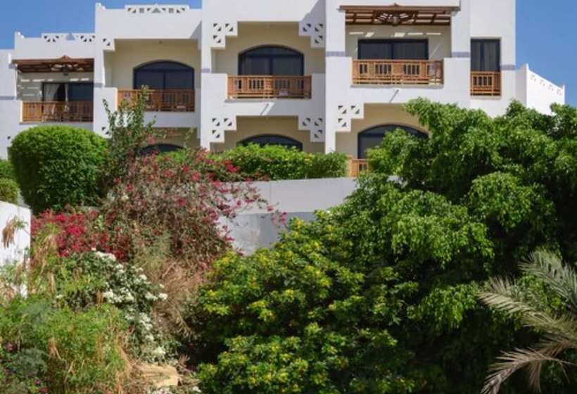 اتاق استاندارد با چشم‌انداز باغ, Amphoras Beach   Ultra All Inclusive
