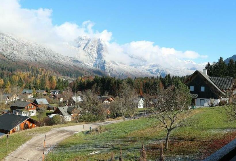 Апартаменты 1 Спальня с Видом, Haus Galler   Urlaub Am Bauernhof