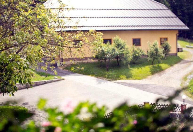 اتاق استاندارد, Tourist Farm Mraz