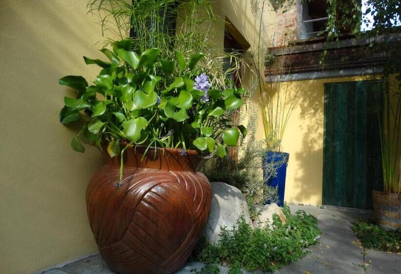 Студия Стандарт, Agriturismo Casa De Colores