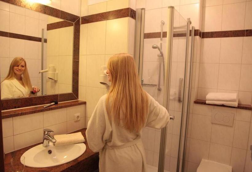 Номер Deluxe Одноместный, Schlossgasthof Rösch