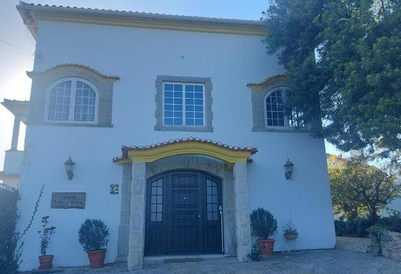 Номер Economy, Santa Maria Casa Nostra