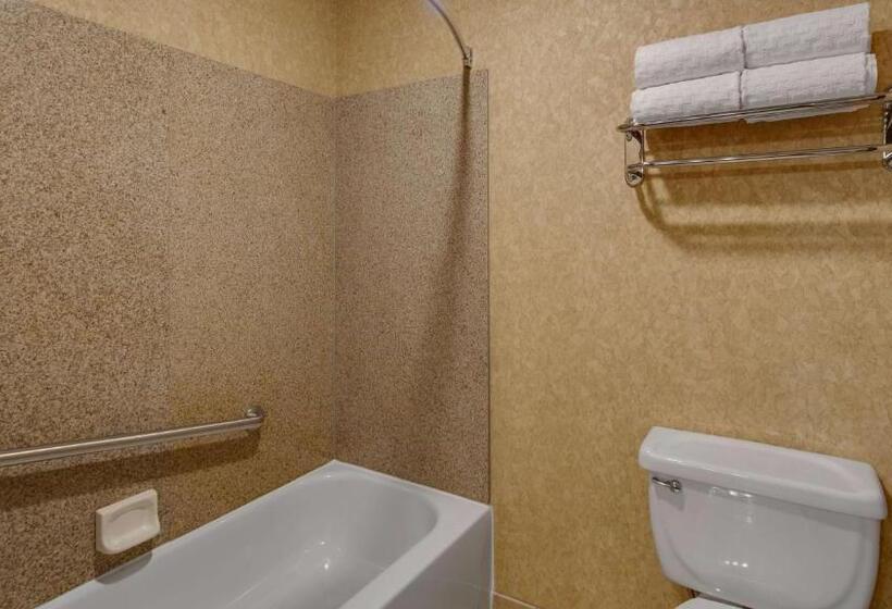 带大床的行政房间, Best Western Plus Kelly Inn And Suites